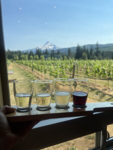 A flight of white and red wines overlooking a vineyard with mountain views.