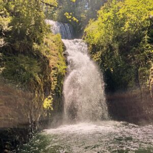 A waterfall nestled between bright trees.